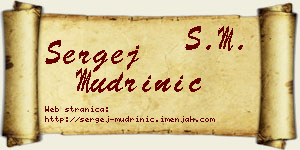Sergej Mudrinić vizit kartica
